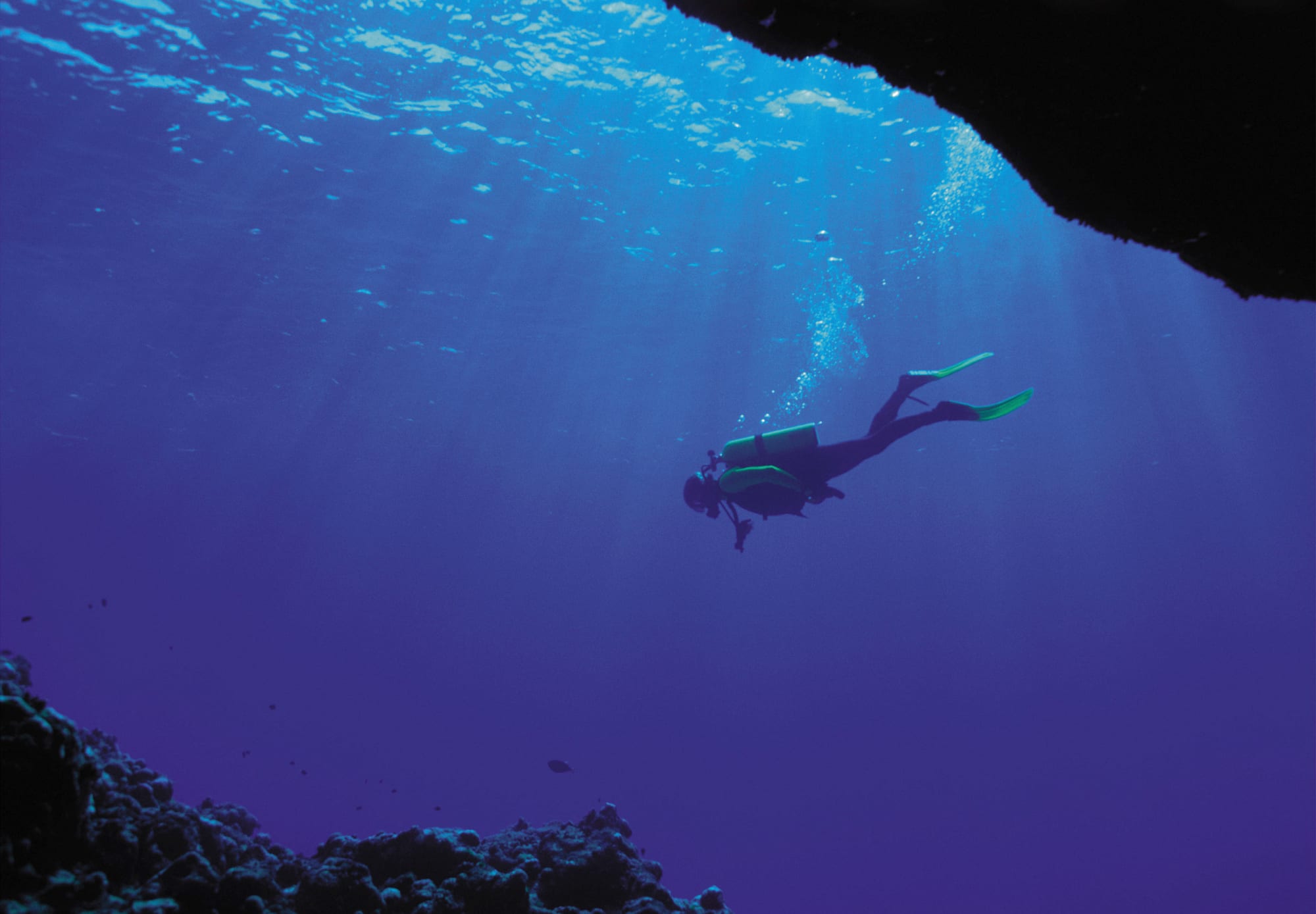 Menjangan & West Bali